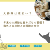 年末 大掃除 日本だけ